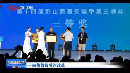 彭山新闻爆料热线,见证城市变迁，倾听民声心声  第3张