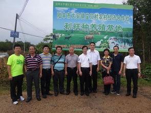 近日陆丰市大安镇爆料新闻,村民爆料事件引发关注 第1张 近日陆丰市大安镇爆料新闻,村民爆料事件引发关注 第1张